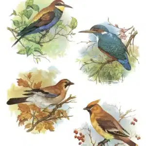 ST175-MH | Sulu Transfer (25x35 cm)