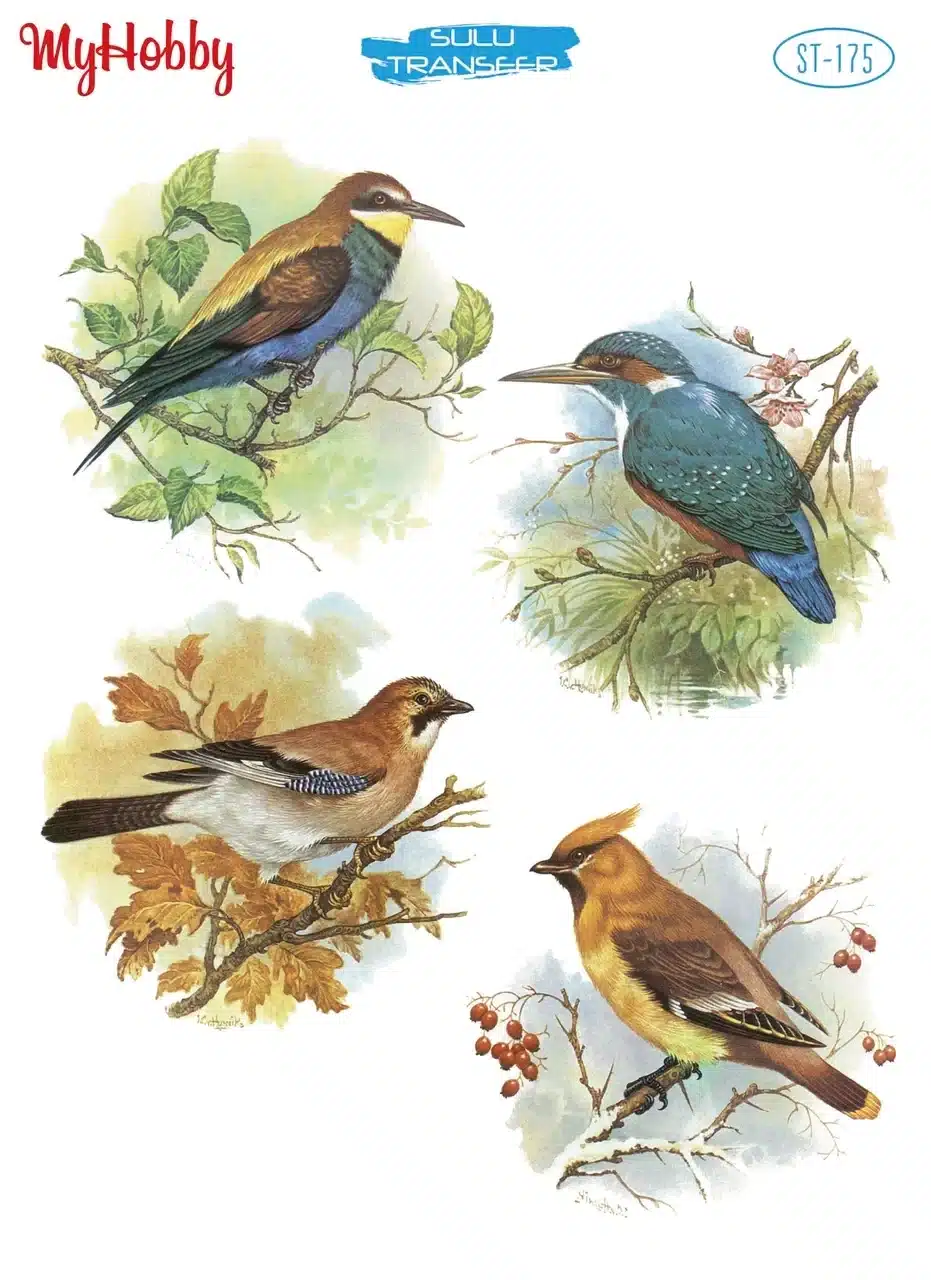 ST175-MH | Sulu Transfer (25x35 cm)