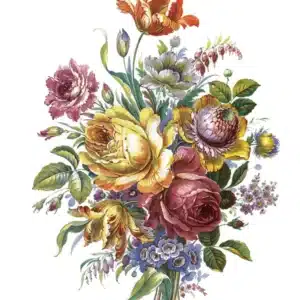 Sulu Transfer | ST188-MH