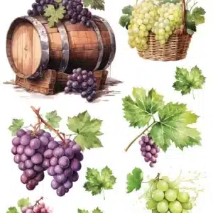 ST1020 | Sulu Transfer Kağıdı-25x35 cm