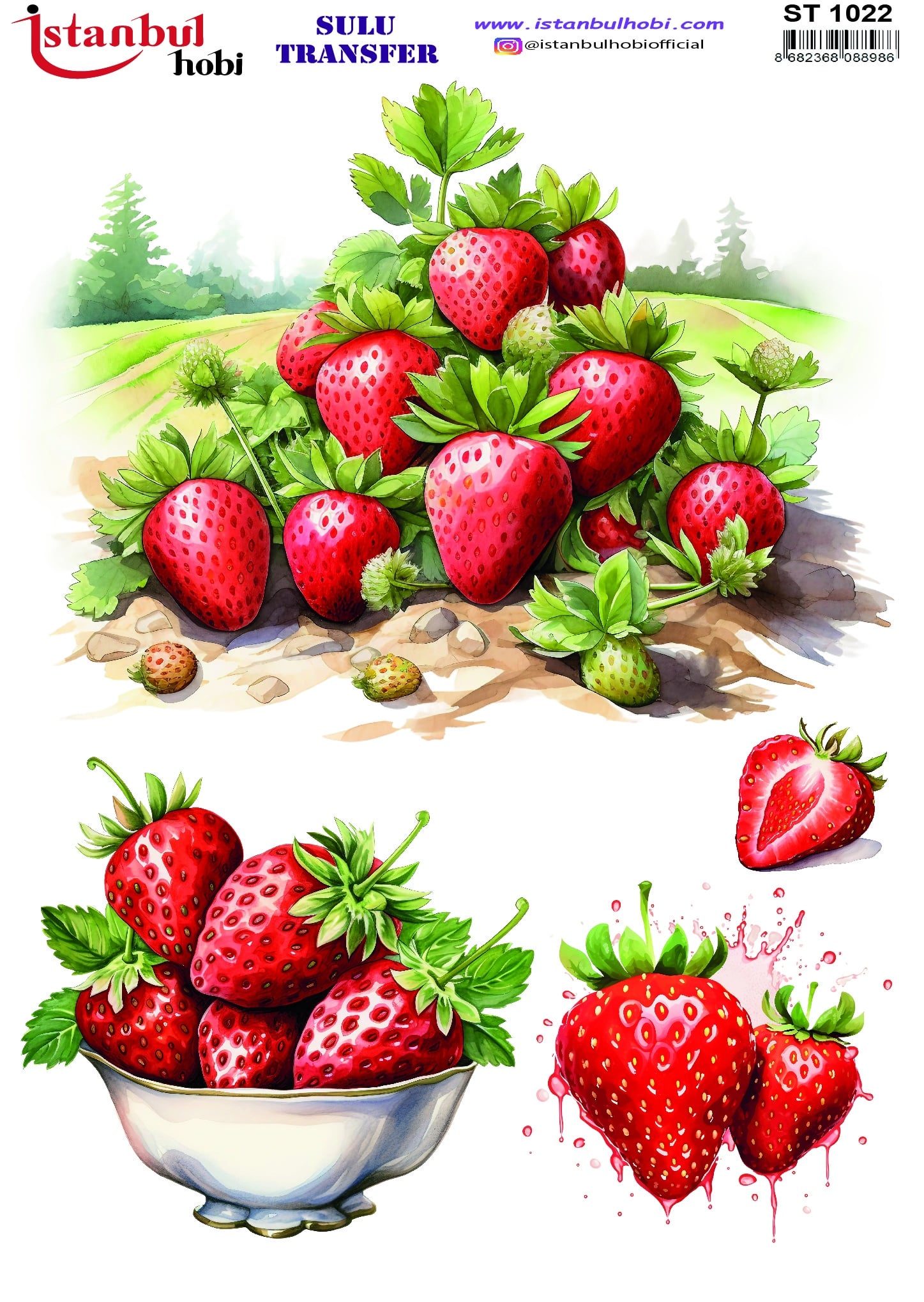 ST1022 | Sulu Transfer Kağıdı-25x35 cm 1 St1022 | Sulu Transfer Kağıdı-25X35 Cm