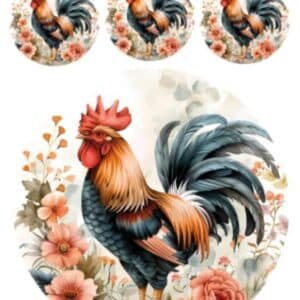 Horoz ve Tavuk Temalı Sulu Transferler