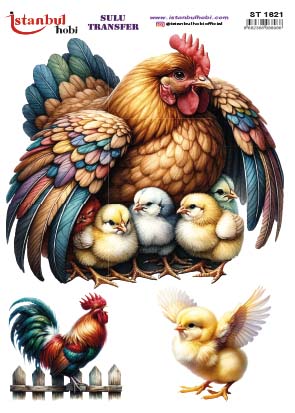 ST1621 | Sulu Transfer Kağıdı-25x35 cm 1 St1621 | Sulu Transfer Kağıdı-25X35 Cm