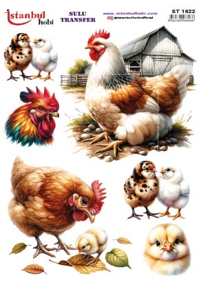 ST1622 | Sulu Transfer Kağıdı-25x35 cm 1 St1622 | Sulu Transfer Kağıdı-25X35 Cm