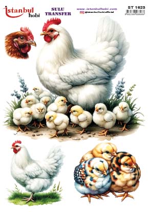 ST1623 | Sulu Transfer Kağıdı-25x35 cm 1 St1623 | Sulu Transfer Kağıdı-25X35 Cm