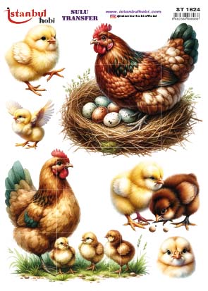 ST1624 | Sulu Transfer Kağıdı-25x35 cm 1 St1624 | Sulu Transfer Kağıdı-25X35 Cm