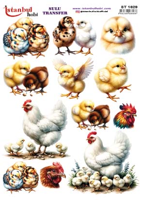 ST1629 | Sulu Transfer Kağıdı-25x35 cm 1 St1629 | Sulu Transfer Kağıdı-25X35 Cm