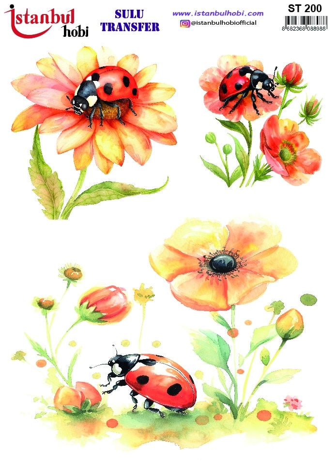 ST200 | Sulu Transfer Kağıdı-25x35 cm 1 St200 | Sulu Transfer Kağıdı-25X35 Cm