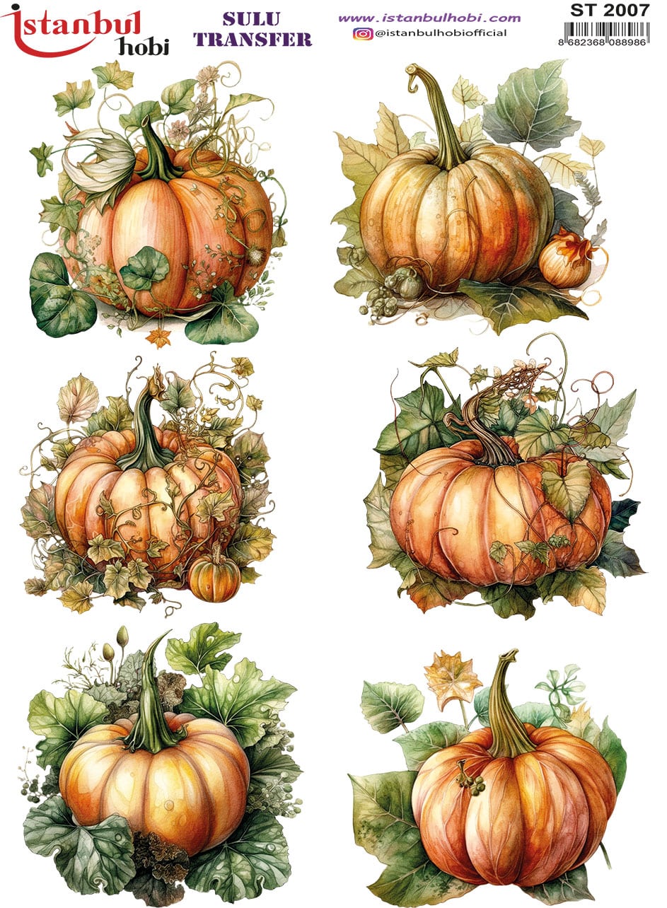 ST2007 | Sulu Transfer Kağıdı-25x35 cm 1 St2007 | Sulu Transfer Kağıdı-25X35 Cm