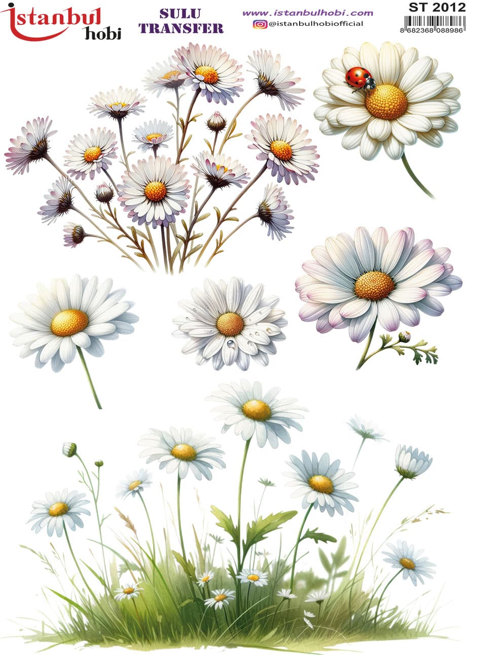ST2012 | Sulu Transfer Kağıdı-25x35 cm 1 St2012 | Sulu Transfer Kağıdı-25X35 Cm