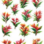 ST2364 | Sulu Transfer Kağıdı-25x35 cm