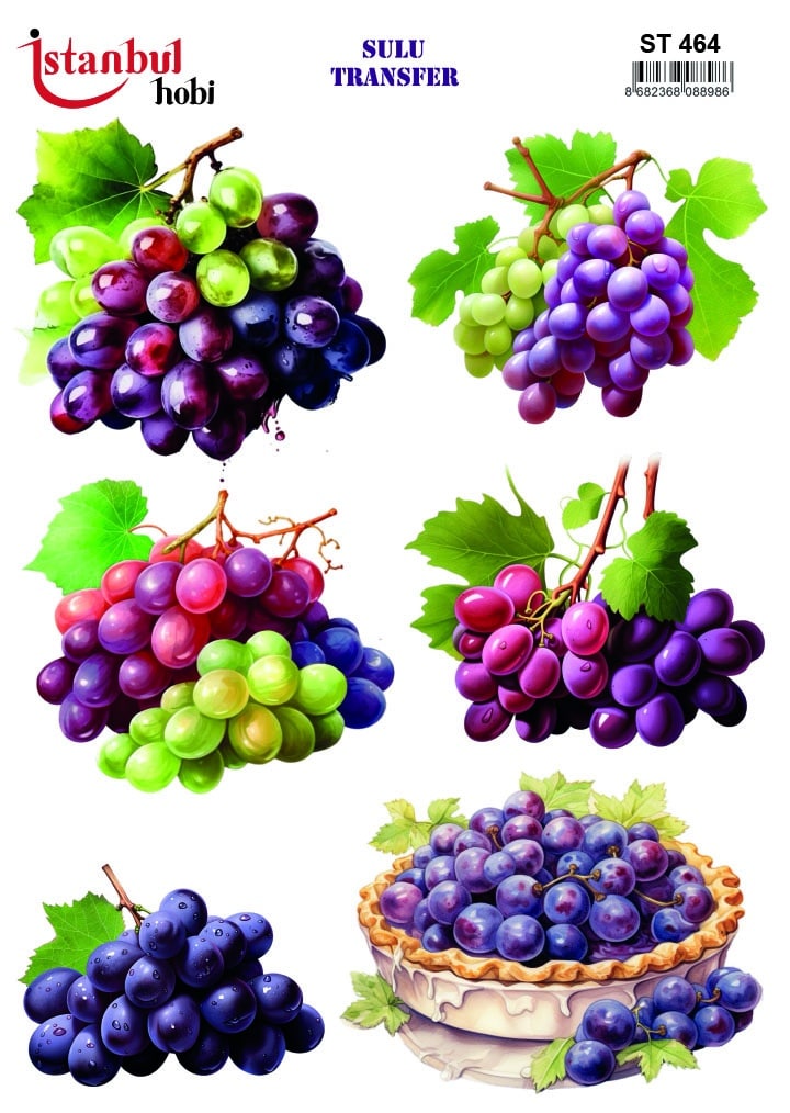 ST464 | Sulu Transfer Kağıdı-25x35 cm 1 St464 | Sulu Transfer Kağıdı-25X35 Cm
