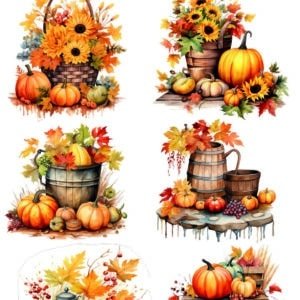 Kabak Desenli Sulu Transferler