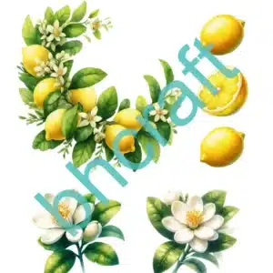 ST210-BH | Sulu Transfer Kağıdı (25x35 cm)