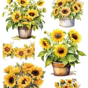 ST955 | Sulu Transfer Kağıdı (25x35 cm)