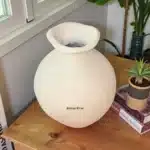Dekoratif Oval Vazo : Modern ve Dokulu Ham Polyester Saksı