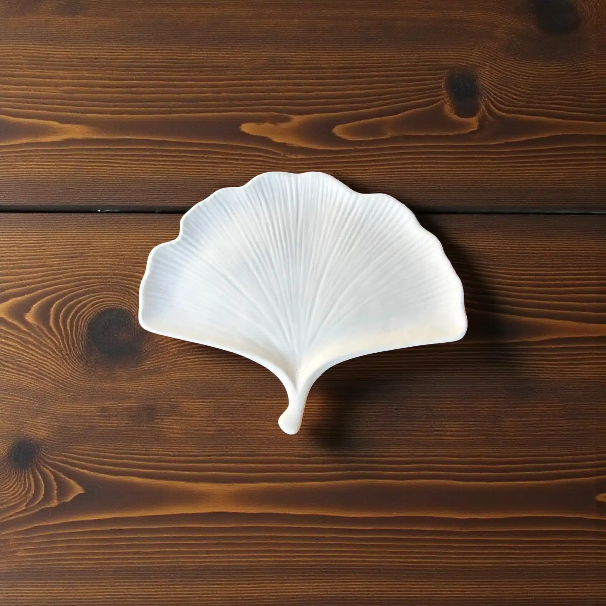 Ginkgo Yaprağı Figürlü Çok Amaçlı Tepsi : Dekoratif Sunum & Takı Tabağı 10 Ginkgo Yaprağı Figürlü Çok Amaçlı Tepsi : Beyaz (Ham)
