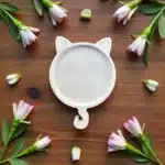 Ham Beyaz Kedi Figürlü Tabak