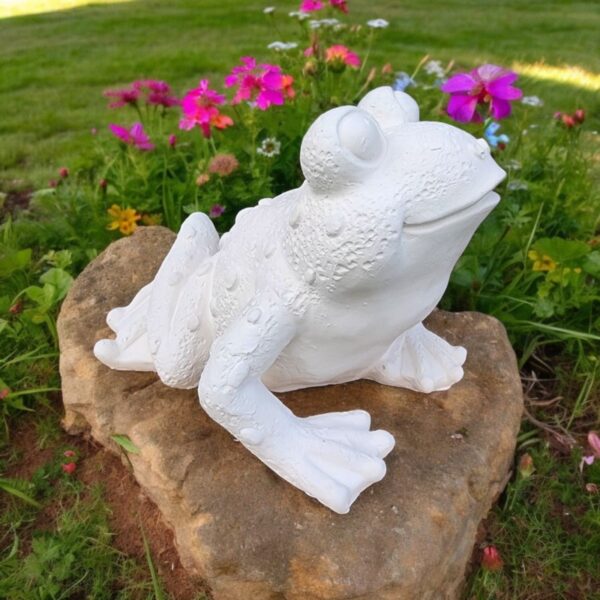 Şirin Kurbağa 15,5x17x19 cm - Görsel 3