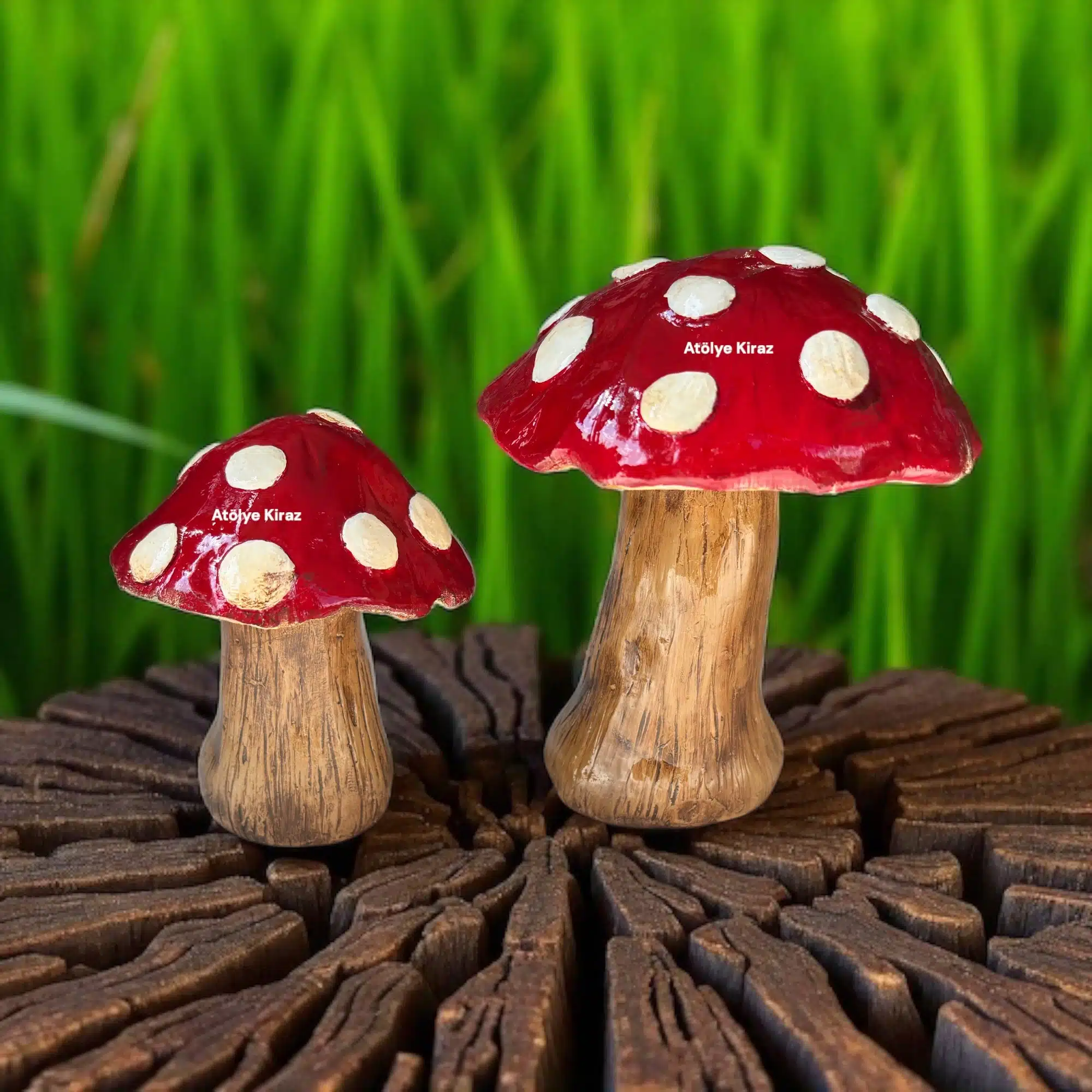 Dekoratif Boyanmış İkili Mantar Obje – Kırmızı Beyaz Noktalı | Dekoratif Figür 6 Dekoratif Boyanmış İkili Mantar Obje