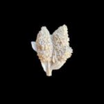 EAD330-Esnek Aplik | 5x7 cm
