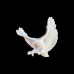 EAD536-Esnek Aplik | 10x10 cm