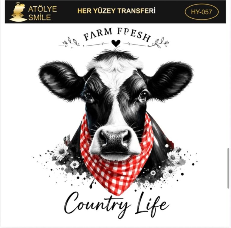 Ütü ile Rub On Transfer Kağıdı: Dekoratif Süsleme Kağıdı-HY057-AS