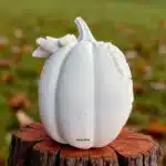İsim Artan sıralama. Stok kodu (SKU) Artan sıralama. Stok Fiyat Artan sıralama. Kategoriler Öne çıkan Öne çıkarılmış görsel Artan sıralama. SEO DetaylarıArtan sıralama. Markalar Desenli Polyester Kabak | Ham Halloween ve Sonbahar Dekorasyonu |19×29 cm | HYK317 bloğunu seç Yer tutucu Desenli Polyester Kabak | Ham Halloween ve Sonbahar Dekorasyonu |