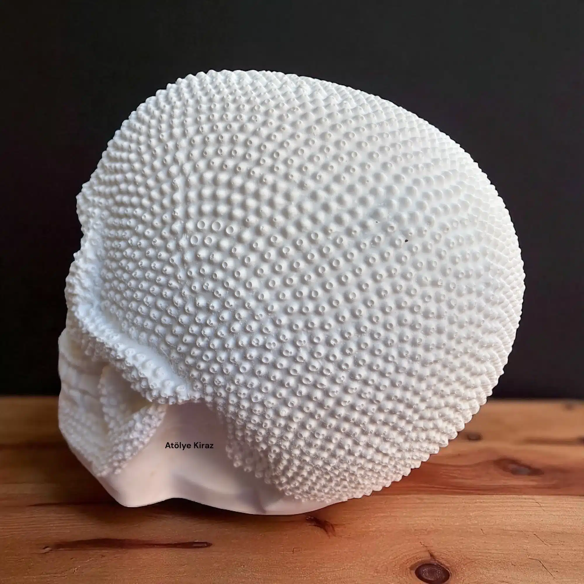 Atölye Kiraz | Taşlı Kurukafa Polyester Obje | HYK906 8 Taşlı Kurukafa Polyester Obje