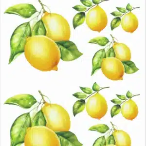 KST040-AS | Koyu Zemin Sulu Transfer