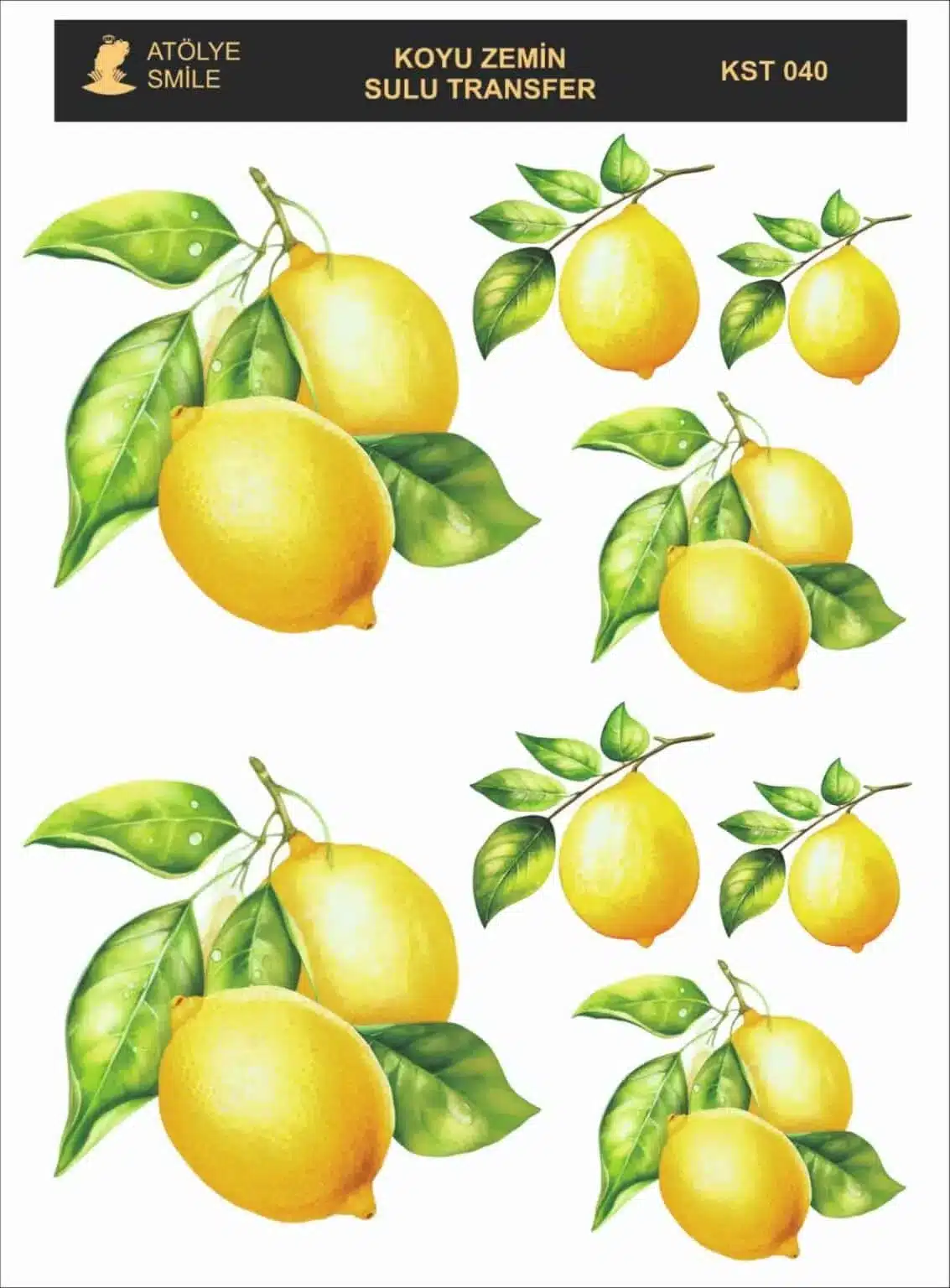 KST040-AS | Koyu Zemin Sulu Transfer Kağıdı (25x35 cm) | Limon Dalı Temalı 1 KST040-AS | Koyu Zemin Sulu Transfer