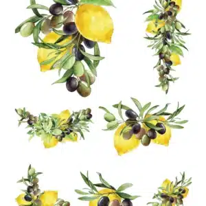 LNT-10 | Sulu Transfer Kağıdı (25x35 cm)