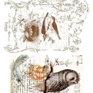 LNT-55 | Sulu Transfer Kağıdı (25x35 cm)