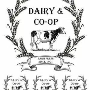 LNT-85 | Sulu Transfer Kağıdı (25x35 cm)