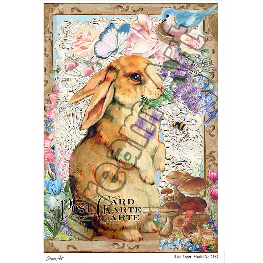 model-2184-dreamart-pirinc-dekopaj-kagidi.jpg Model 2184 Dream Art Pirinç Dekopaj Kağıdı - Görsel 1