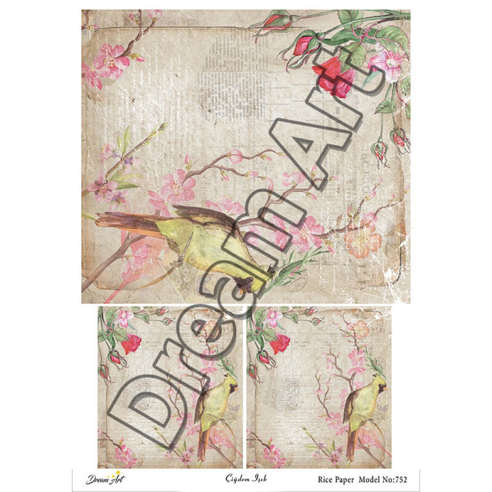 model-752-dreamart-pirinc-dekopaj-kagidi.jpg Model 752 Dream Art Pirinç Dekopaj Kağıdı - Görsel 1