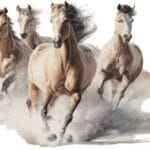 Pirinç Dekopaj Kağıdı-29x42 cm-PT 1427