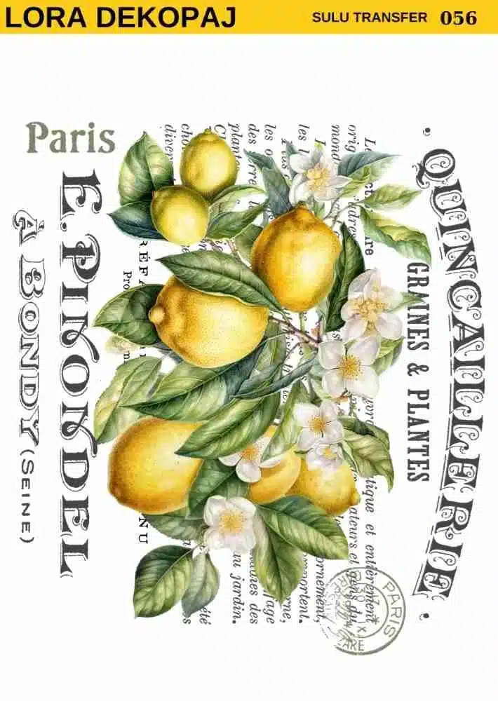 ST56-LRA | Sulu Transfer Kağıdı-25x35 cm 1 St56-Lra | Sulu Transfer Kağıdı-25X35 Cm