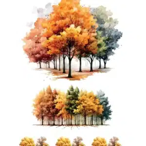 SML102-AS | Sulu Transfer Kağıdı (25x35 cm)