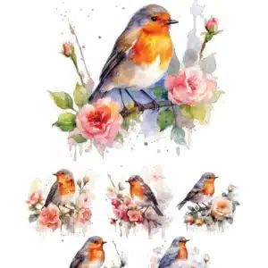 SML170-AS | Sulu Transfer Kağıdı (25x35 cm)