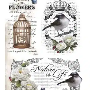 SML18-AS | Sulu Transfer (25x35 cm)