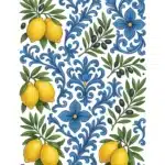 SML221 | Sulu Transfer Kağıdı-25x35 cm