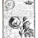 SML70-AS | Sulu Transfer Kağıdı-25x35 cm