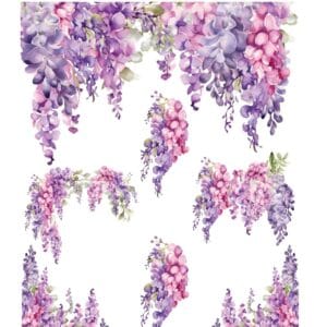 ST1052-AS | Sulu Transfer