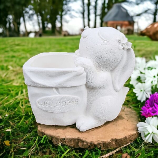 Tavşan Welcome Saksı Yükselik 13,5x16x10 cm