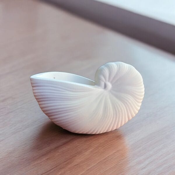 Sarmal Deniz Kabuğu Şeklinde Saksı – Aytaşı Malzeme, Boyanabilir Obje 7,5x13x7 cm