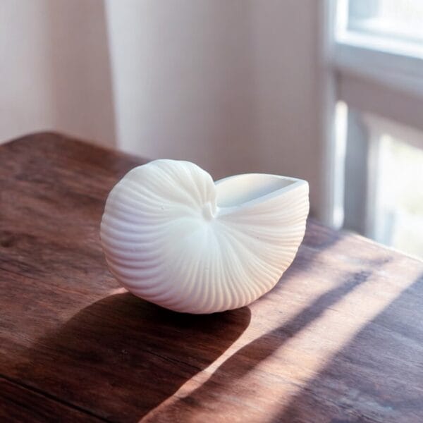 Sarmal Deniz Kabuğu Şeklinde Saksı – Aytaşı Malzeme, Boyanabilir Obje 7,5x13x7 cm - Görsel 3
