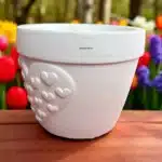 Dekoratif Kalp Saksı