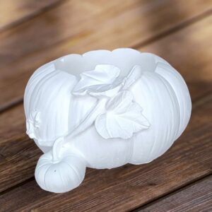 Kabak Saksı Büyük 7x17x14 cm