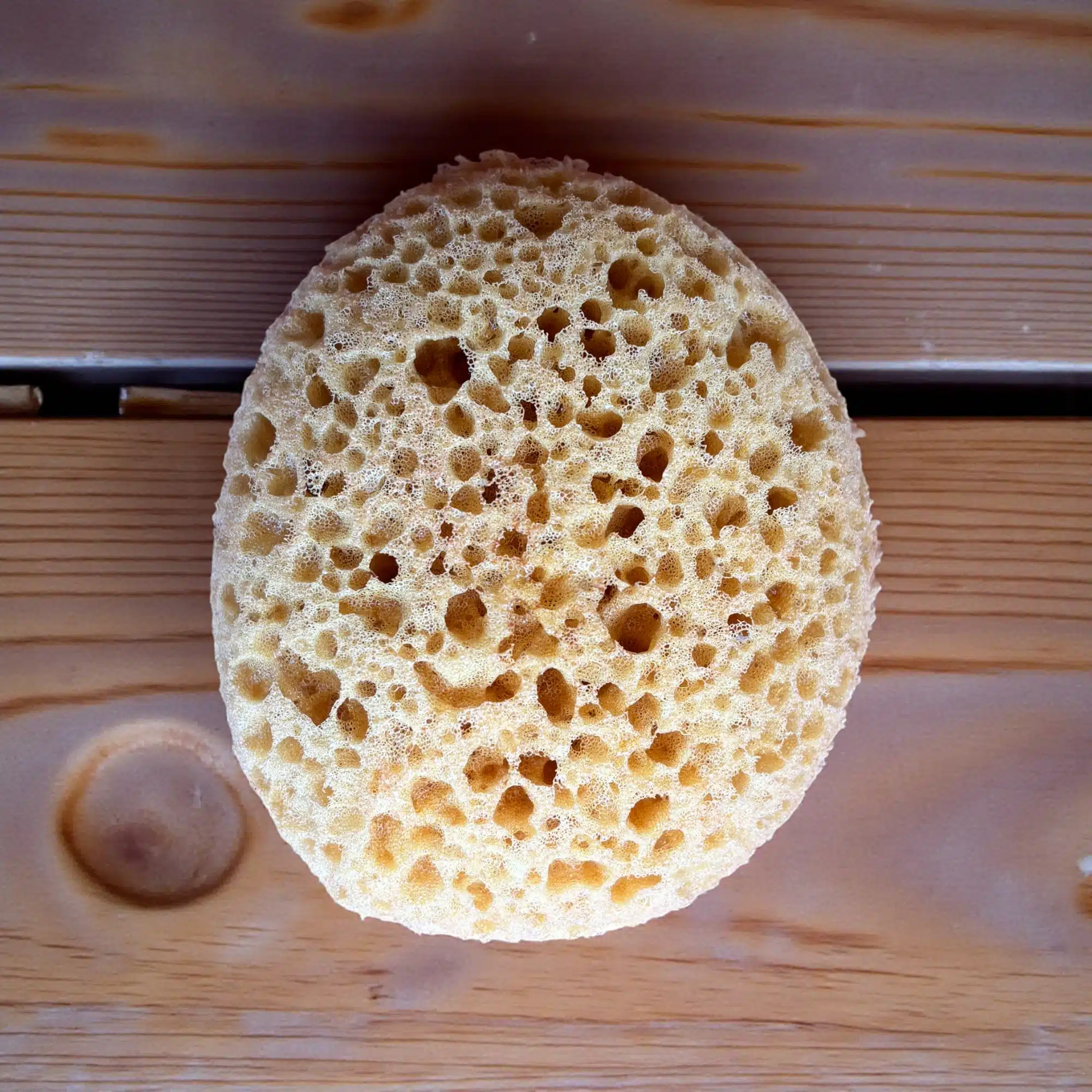 Doğal Dokulu Sanat Süngeri: Efekt ve Boyama Yardımcı Malzemesi